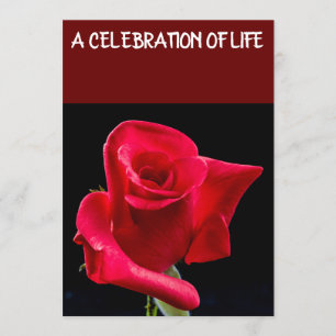 IN CELEBRATIE VAN LEVEN FUNERALE KAARTEN, RODE ROS KAART