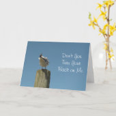 In contact blijven met de Kaart met een Seagull Hu (Gele Bloem)