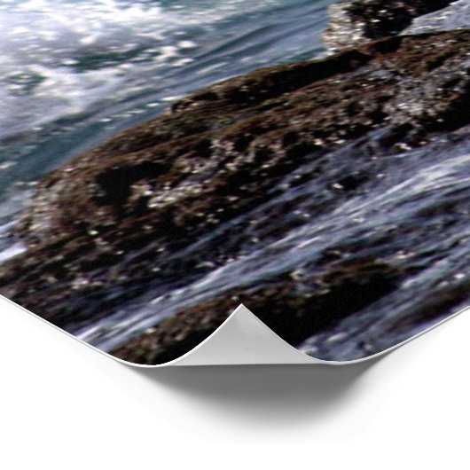 IN CURL POSTER (Hoek)