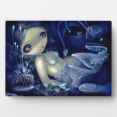 "In de Abyss Plaque" Fotoplaat (voorkant)