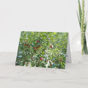 "In de Apple Tree kijken" Gefeliciteerd Kaart