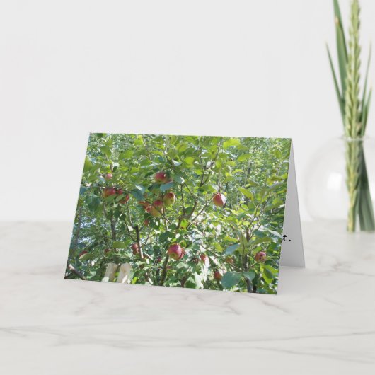 "In de Apple Tree kijken" Gefeliciteerd Kaart (Voorkant)