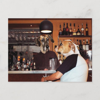 In de bar briefkaart
