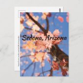 in de bladeren van Sedona, Arizona Briefkaart (Voorkant / Achterkant)