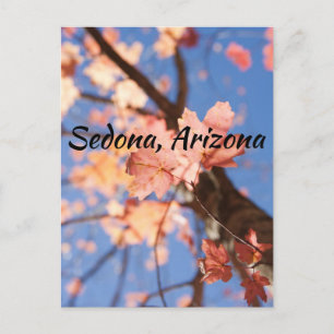 in de bladeren van Sedona, Arizona Briefkaart