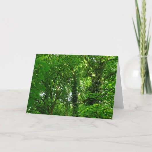 In de bomen kaart (Voorkant)
