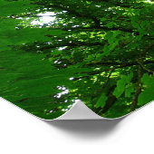 In de bomen poster (Hoek)