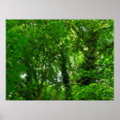In de bomen poster (Voorkant)