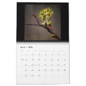 In de Bossen 12-maands kalender (Mar 2026)