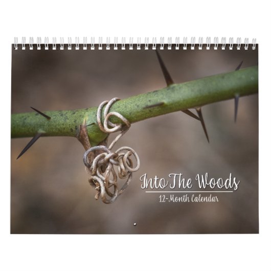In de Bossen 12-maands kalender (Hoes)