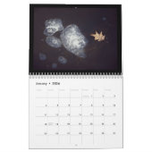 In de Bossen 12-maands kalender (Jan 2026)