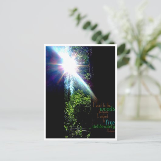 In de Bossen Briefkaart (Staand voorkant)