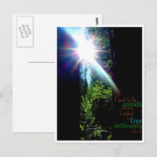 In de Bossen Briefkaart (Voorkant / Achterkant)