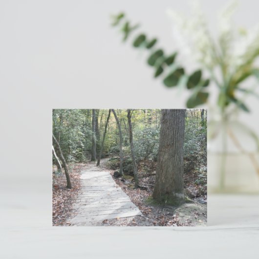 In de Bossen Briefkaart (Staand voorkant)