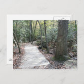 In de Bossen Briefkaart (Voorkant / Achterkant)