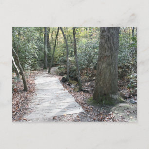 In de Bossen Briefkaart