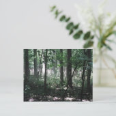 In de Bossen Briefkaart (Staand voorkant)