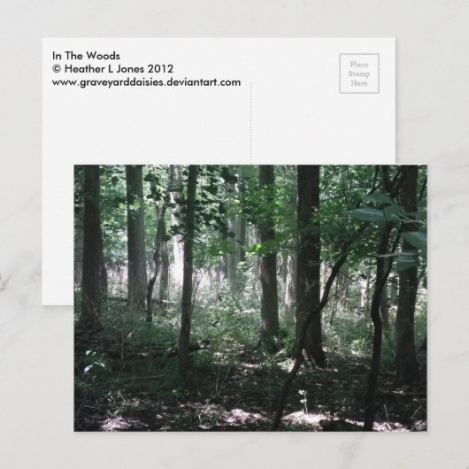 In de Bossen Briefkaart (Voorkant / Achterkant)