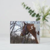 In de Bossen die ik zie Briefkaart (Staand voorkant)