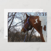 In de Bossen die ik zie Briefkaart (Voorkant / Achterkant)