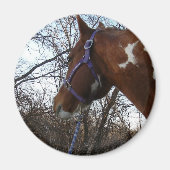 In de Bossen die ik zie Magneet (Voorkant)