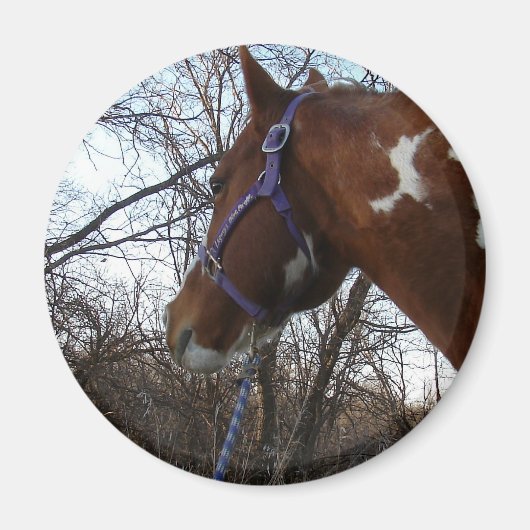 In de Bossen die ik zie Magneet (Voorkant)