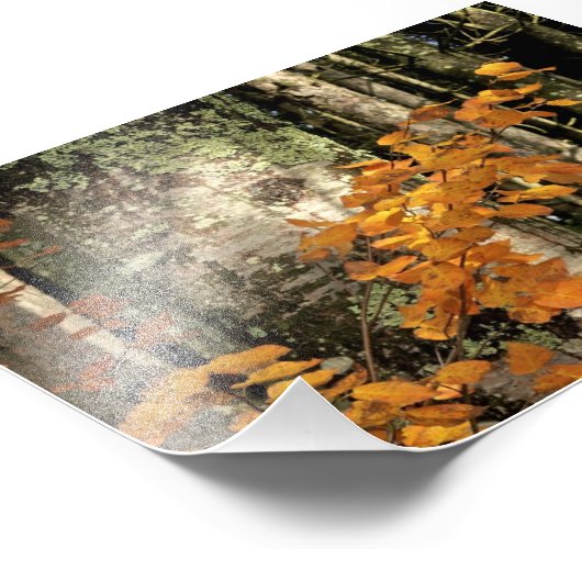 In de bossen foto afdruk (Hoek)