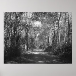 "In de Bossen" Poster