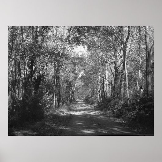 "In de Bossen" Poster (Voorkant)