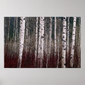 In de Bossen. Poster (Voorkant)