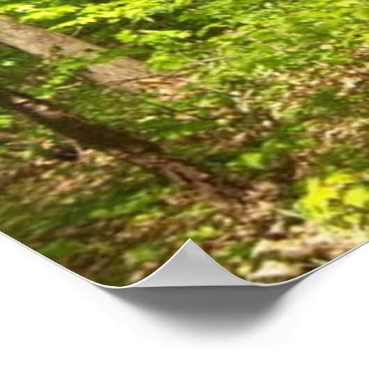 In de bossen poster (Hoek)