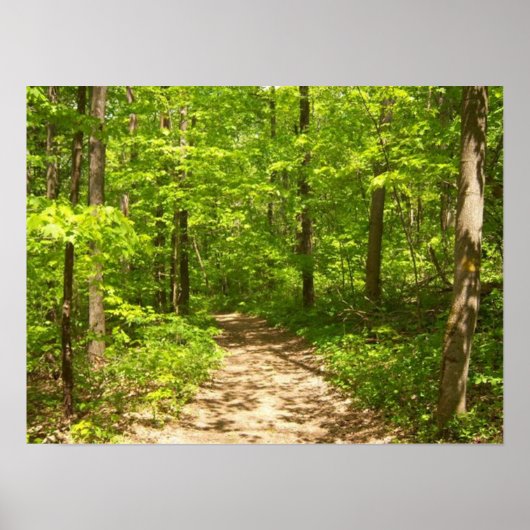 In de bossen poster (Voorkant)