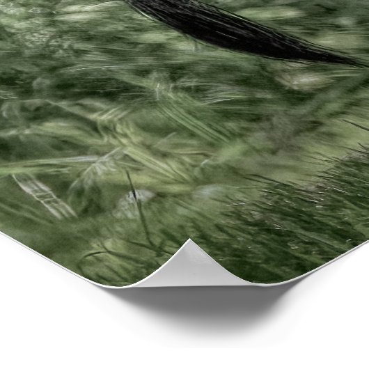 In de Bossen: Sage Green B&W Poster (Hoek)