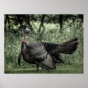 In de Bossen: Sage Green B&W Poster