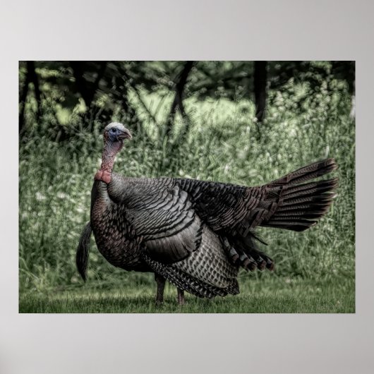 In de Bossen: Sage Green B&W Poster (Voorkant)