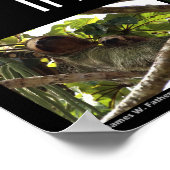 In de bossen van Costa Rica Poster (Hoek)