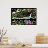 In de bossen van Costa Rica Poster (Keuken)