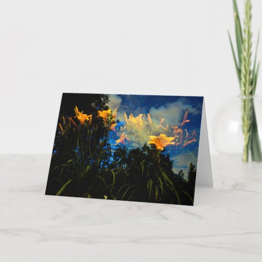 in de bossen van de nachtkaart kaart (Voorkant)