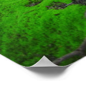 In de bossen van Nimisilla lopen met bomen Poster (Hoek)