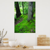 In de bossen van Nimisilla lopen met bomen Poster (Keuken)