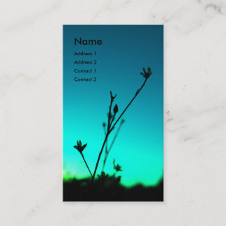 In de Dream-profielkaart Visitekaartje