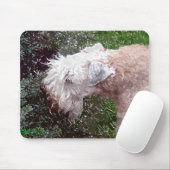 "In de Garen" Muismat (Met muis)