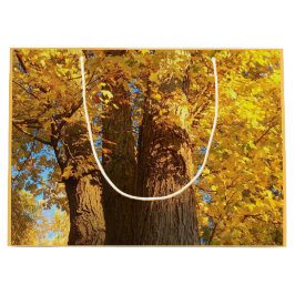 In de gloed van Golden Maple Leaves - Large Cadeautasje