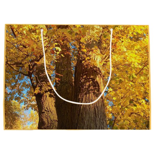 In de gloed van Golden Maple Leaves - Large Cadeautasje (Achterkant)
