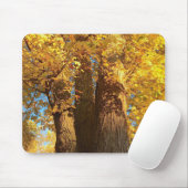 In de gloed van Golden Maple Leaves - Muismat (Met muis)