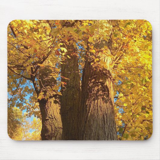 In de gloed van Golden Maple Leaves - Muismat (Voorkant)