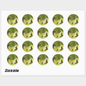 In de gras ronde sticker (Vel)