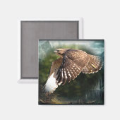 In de hemelmagneet magneet (Voorkant / Achterkant)