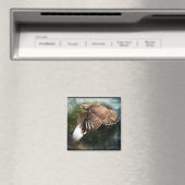 In de hemelmagneet magneet (Insitu (Vaatwasser))