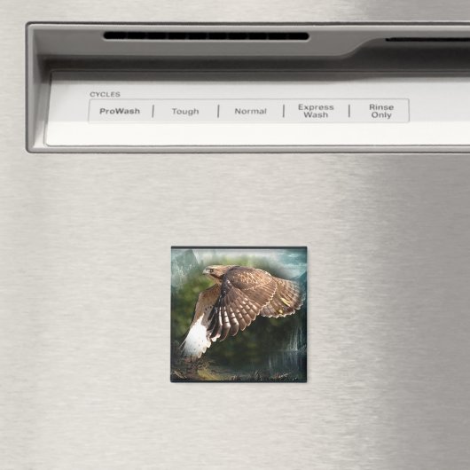 In de hemelmagneet magneet (Insitu (Vaatwasser))